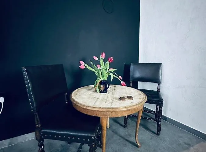 Apartament Przyjemny Lokal W Centum Miasta Łódź
